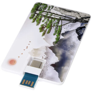 Duo slim USB station van 32 GB met Type-C en USB-A 3.0