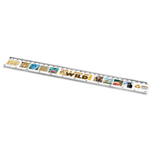 Refari liniaal van 30 cm van gerecycled plastic
